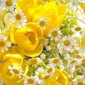 Meet your Posher, Jonna